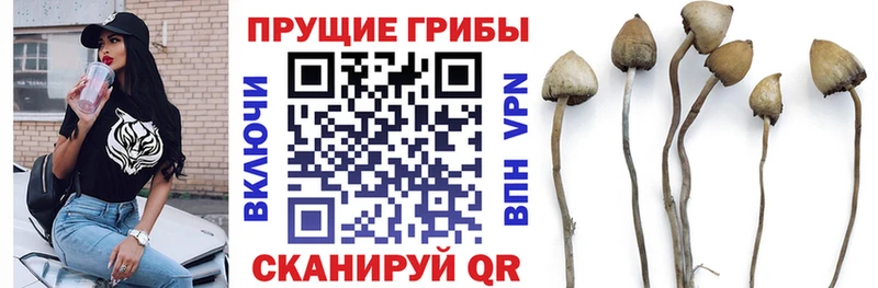 Псилоцибиновые грибы Psilocybe  кракен зеркало  Озёры 