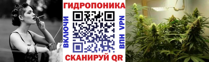 даркнет сайт МЕГА как войти Каннабис марихуана Озёры